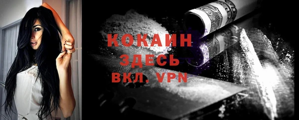 крисы Абаза