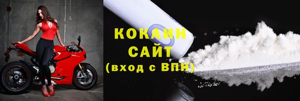 крисы Абаза
