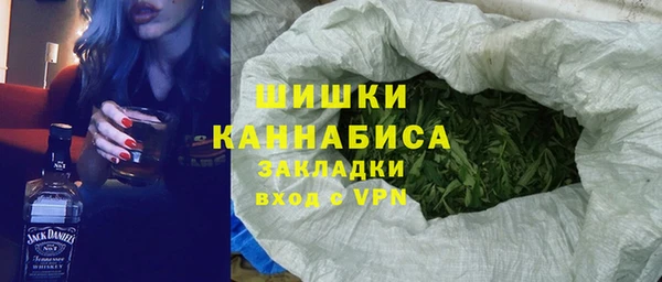 крисы Абаза