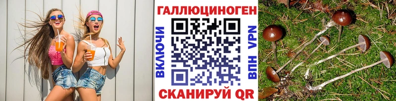 Псилоцибиновые грибы Psilocybine cubensis  сколько стоит  Галич 